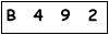 salt-81C59453