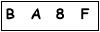 salt-3CBC3155