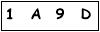 salt-557DEA62
