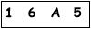 salt-2976A10B